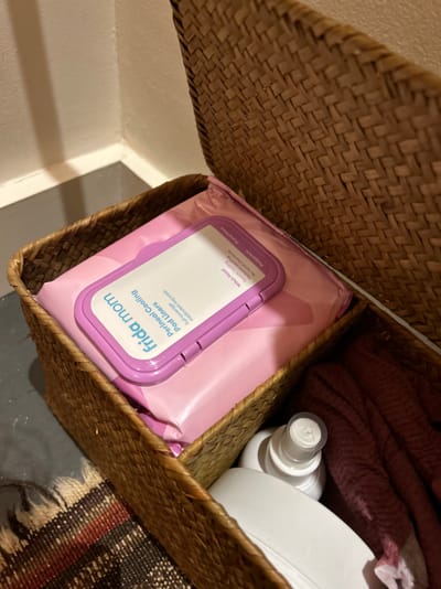 Frida Mom Postpartum Disposable Underwear (Boyshort)