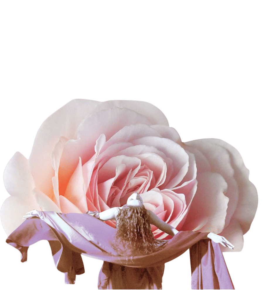 Work Your Light Oracle Cards