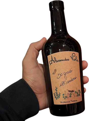 Alessandro Viola 50 Gradi All'Ombra