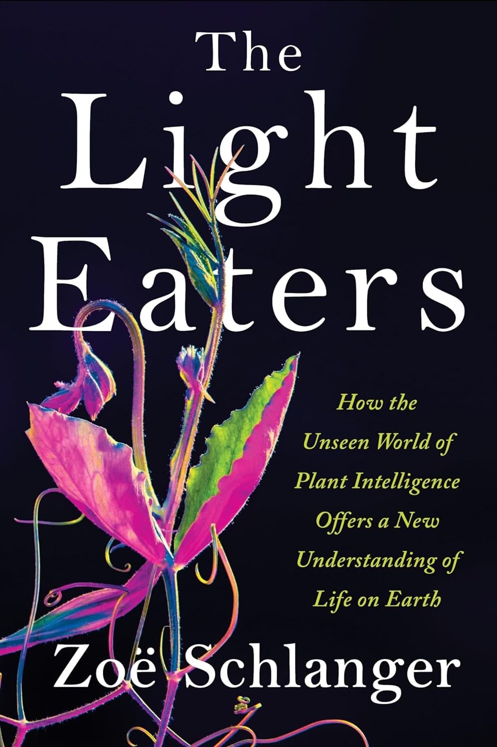 The Light Eaters by Zoë Schlanger