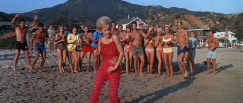 Muscle Beach Party