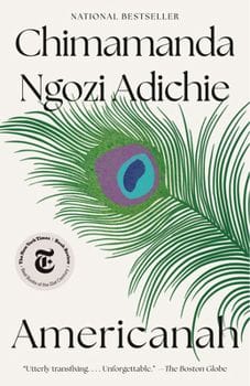 Americanah by Chimamanda Ngozi Adichie)