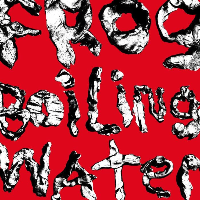 DIIV - "Frog In Boiling Water"