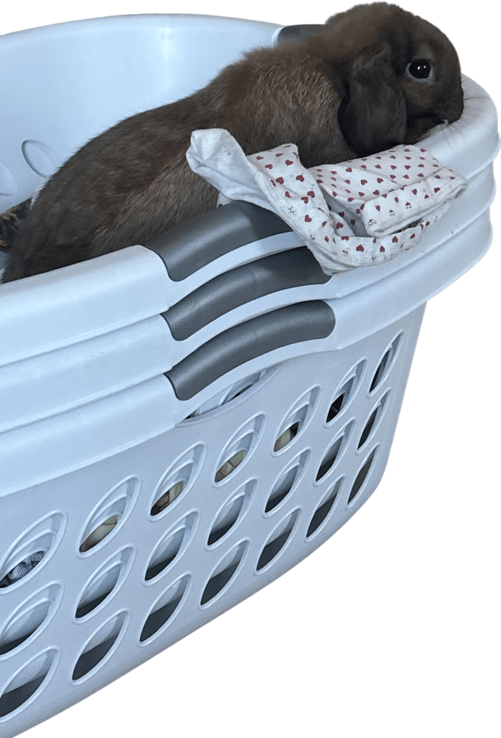 Laundry problem