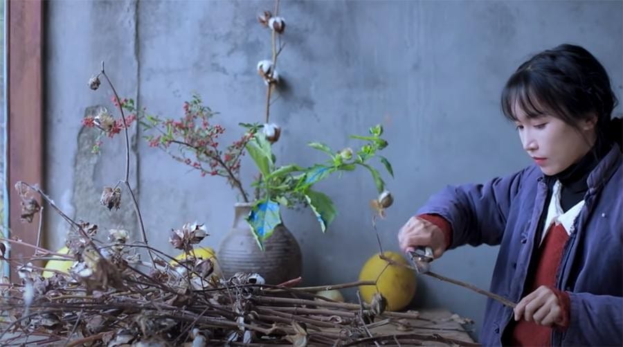 Liziqi, Spring Wild Vegetable Digging