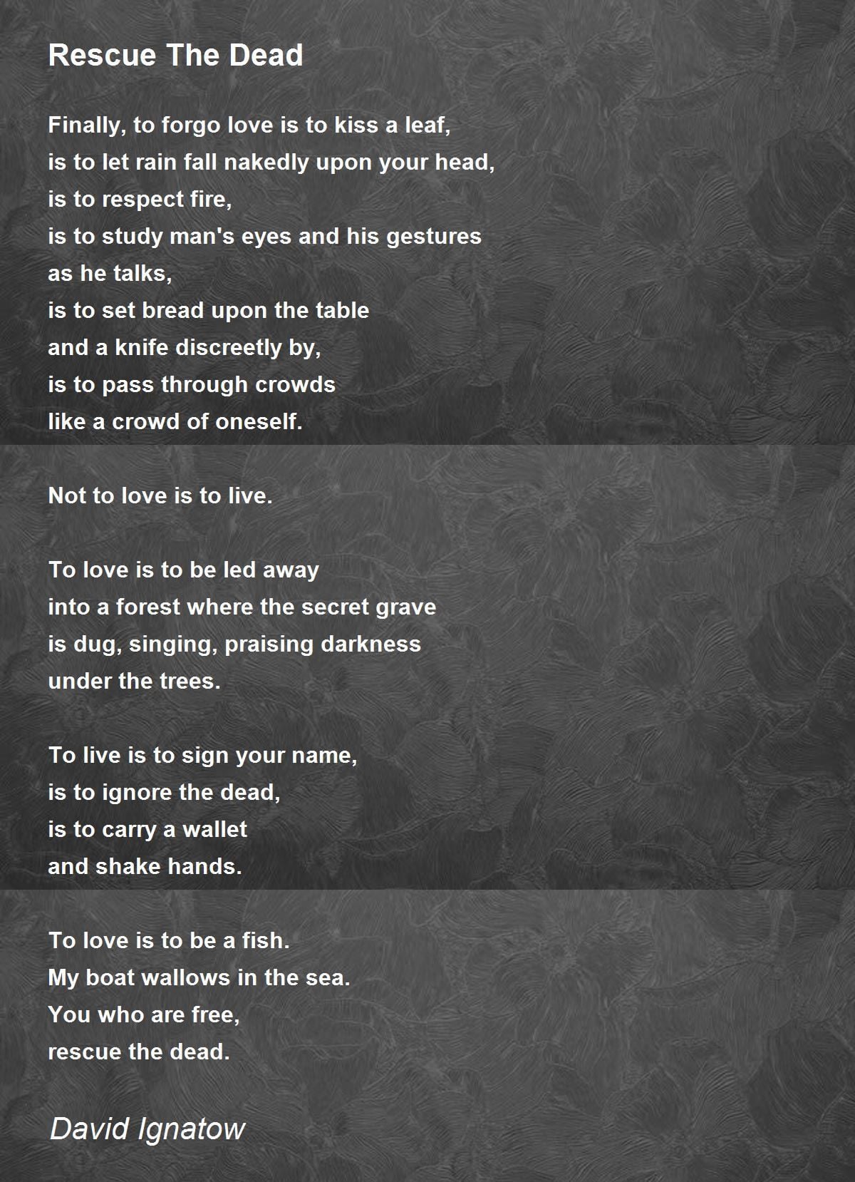 Rescue the Dead by David Ignatow