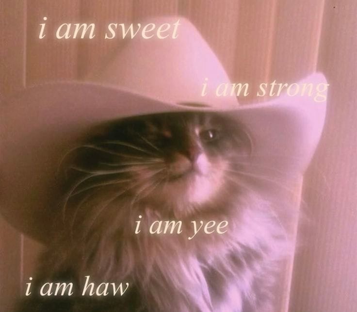 Cowboy Kitty Motivation