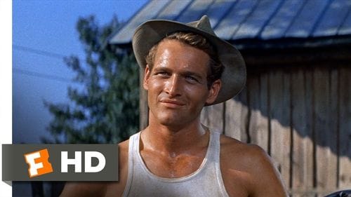 The Long, Hot Summer