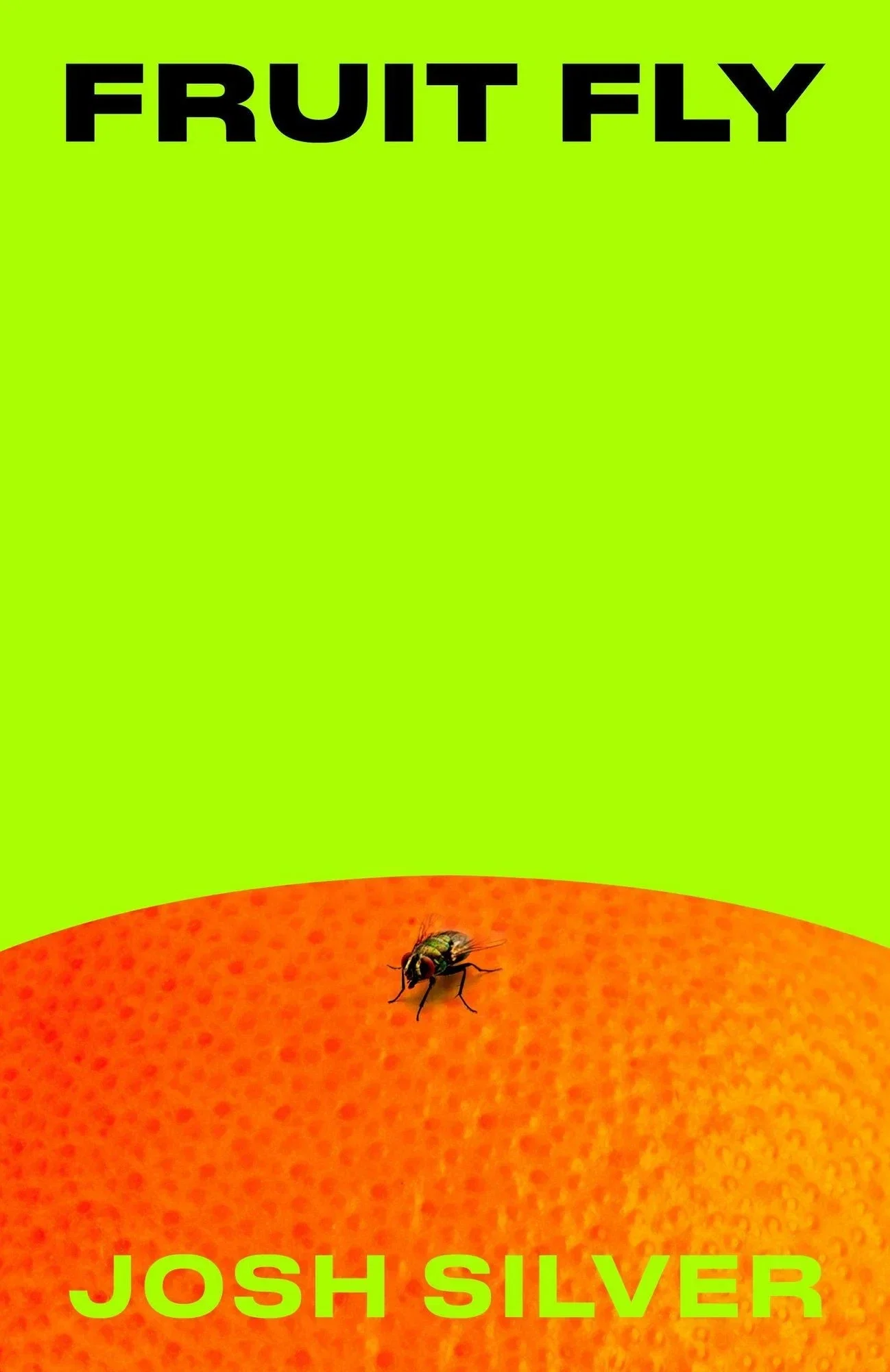 Fruit Fly by Josh Silver