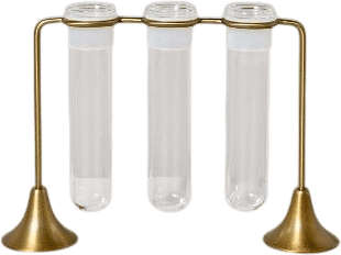 Brass and Glass Plant Propagation Vase Set