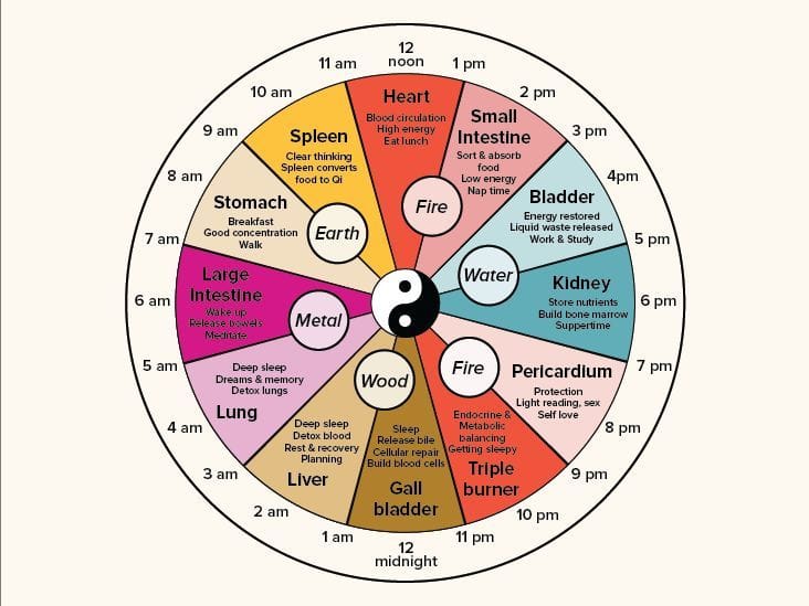 Chinese Body Clock