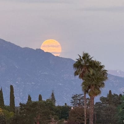 The California Ideology - Richard Barbrook and Andy Cameron