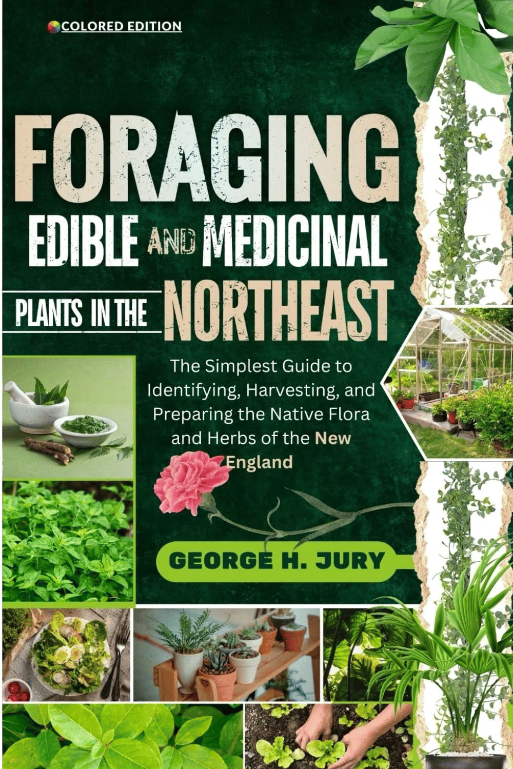 Foraging Edible and Medicinal Plants in the Northeast (George H. Jury)