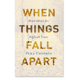 When Things Fall Apart: Heart Advice for Difficult Times