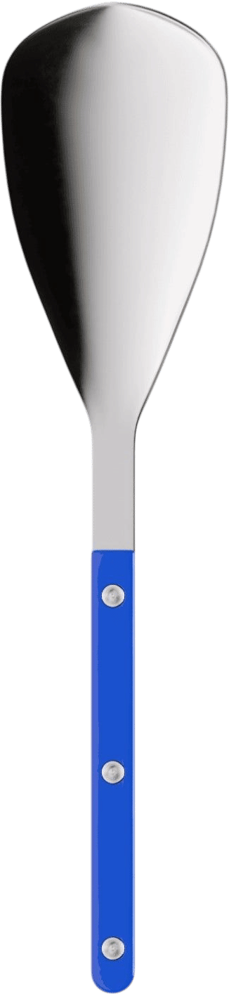 Sabre Rice spoon