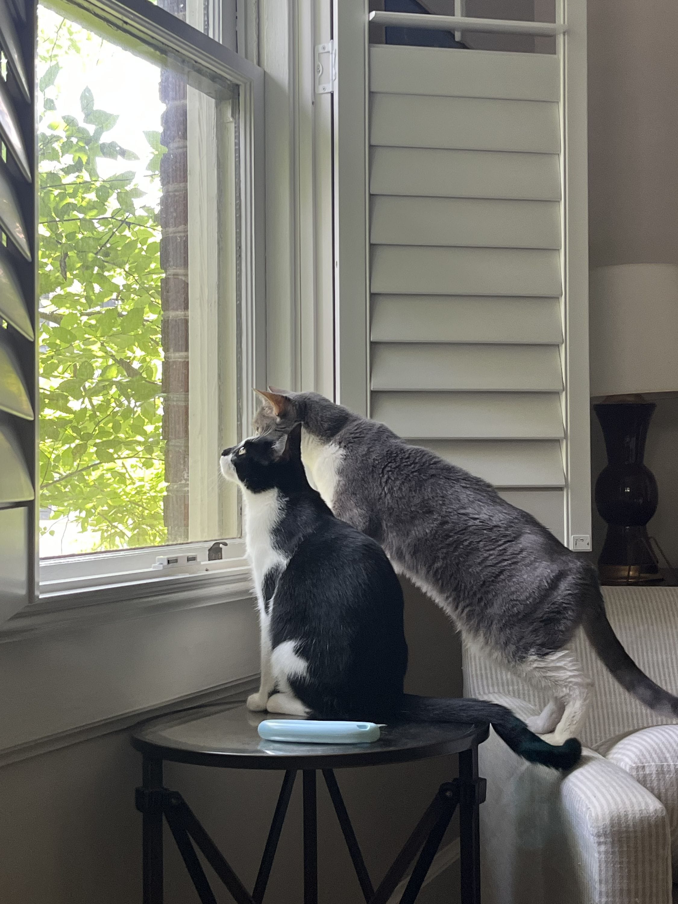 Opening your blinds