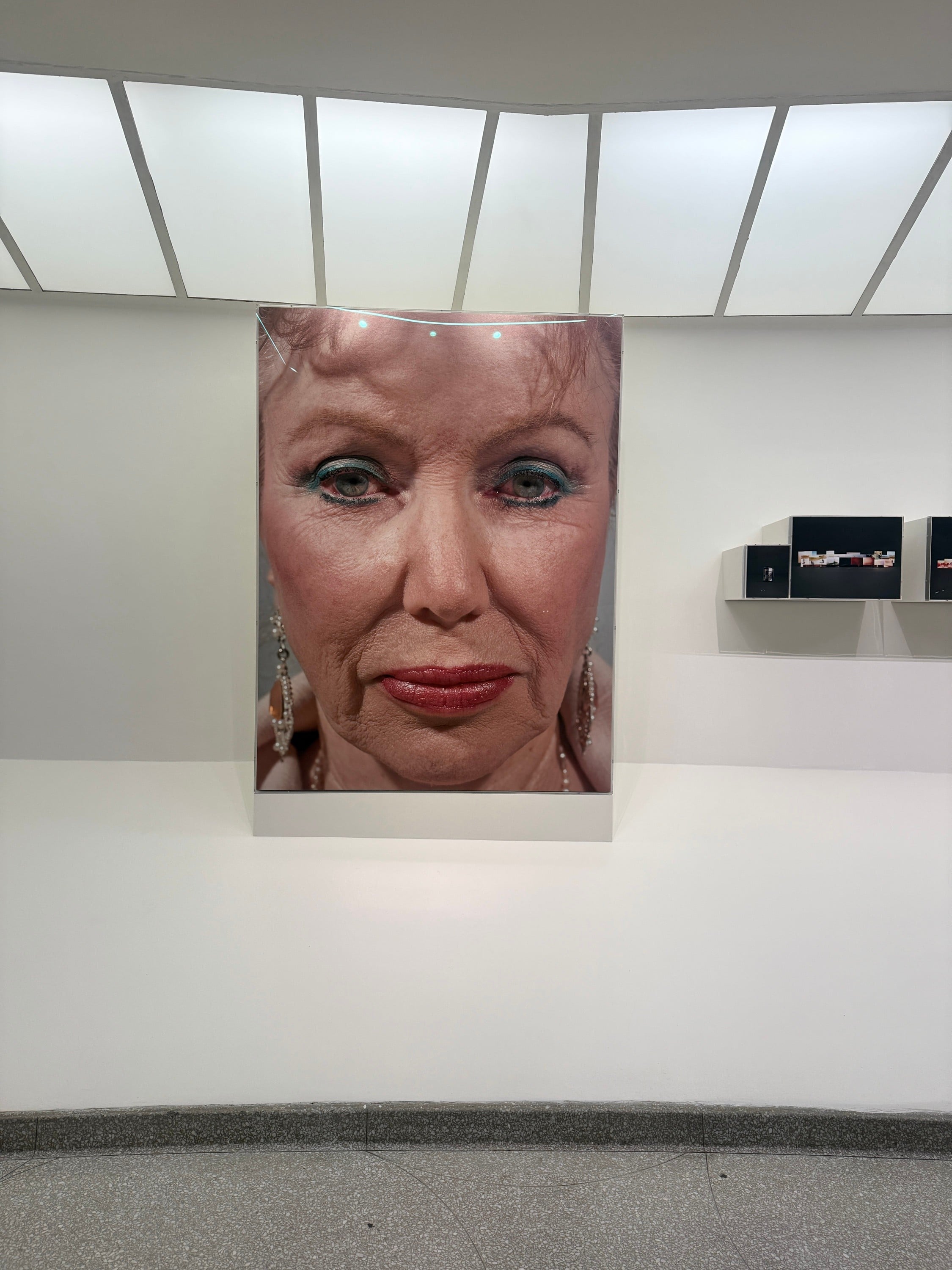 TARYN SIMON @ THE GUGGENHEIM