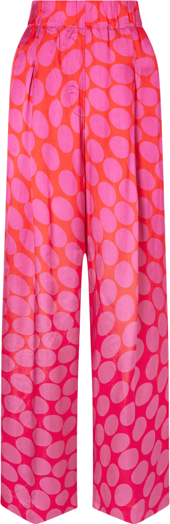 Dries Van Noten Slacks