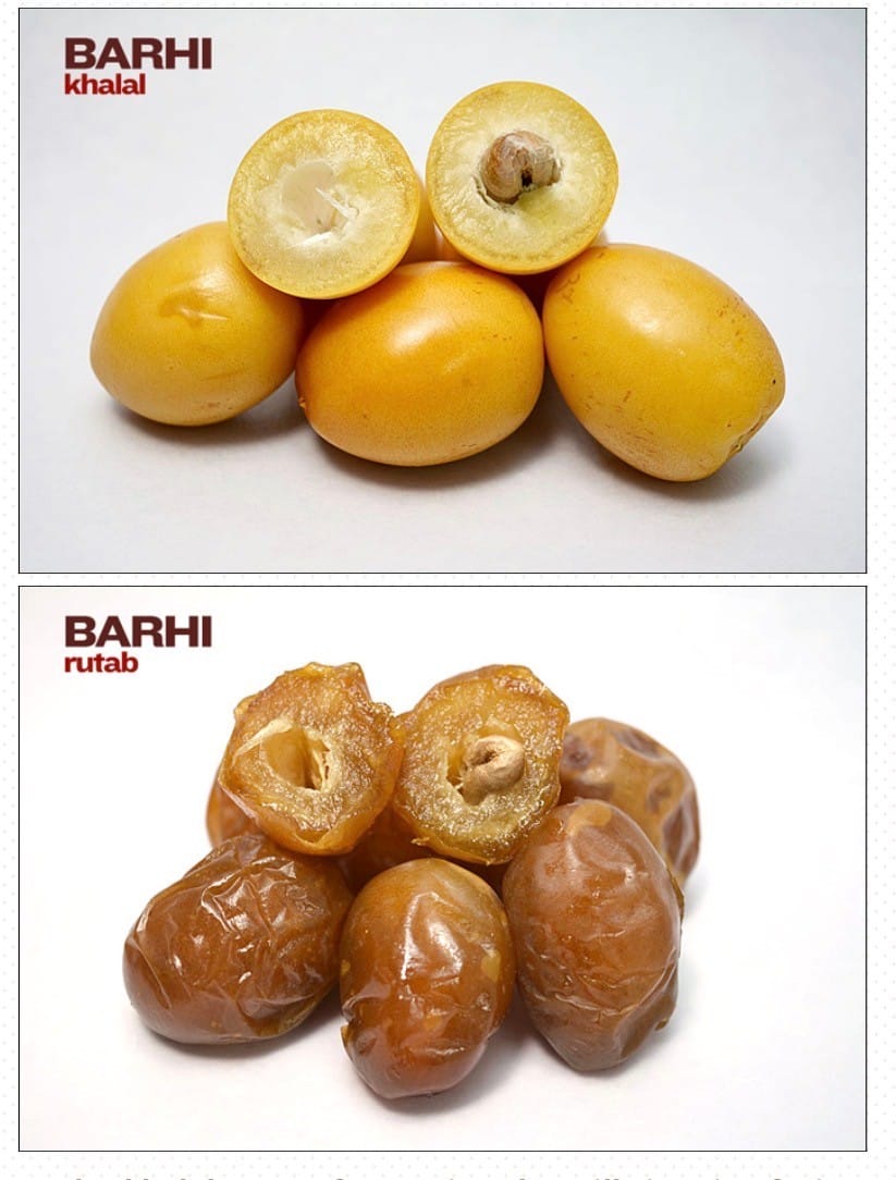Bahri dates!
