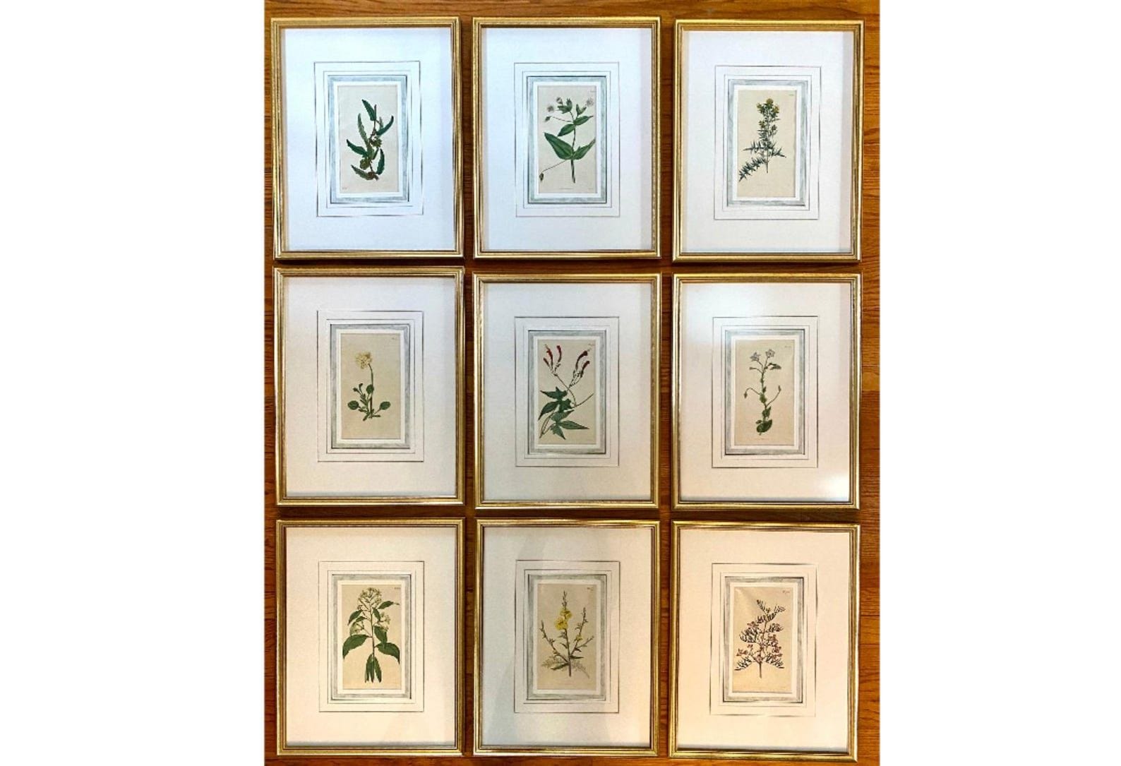 Botanical Prints Framed by Redouté, Curtis