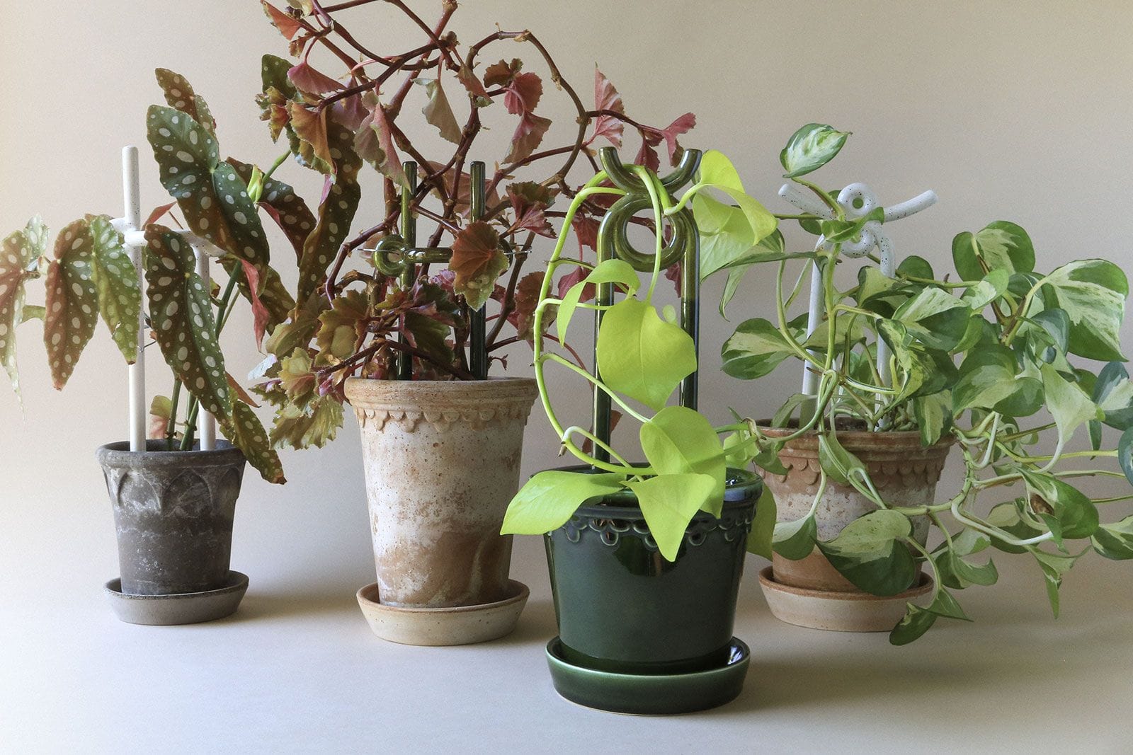 folk plant stakes