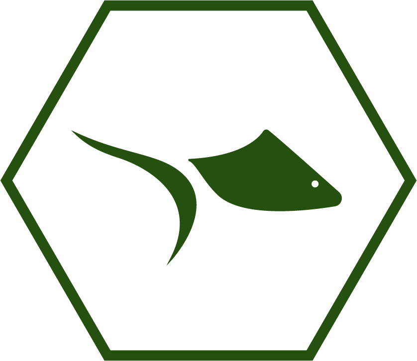 little fish in philadelphia