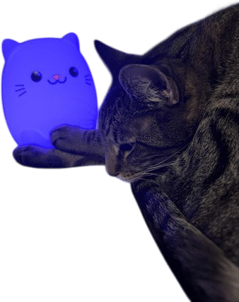 Cat Tap Night Light