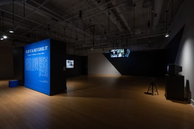 Flip It & Reverse It: Spectacles of Blackness in Popular Media