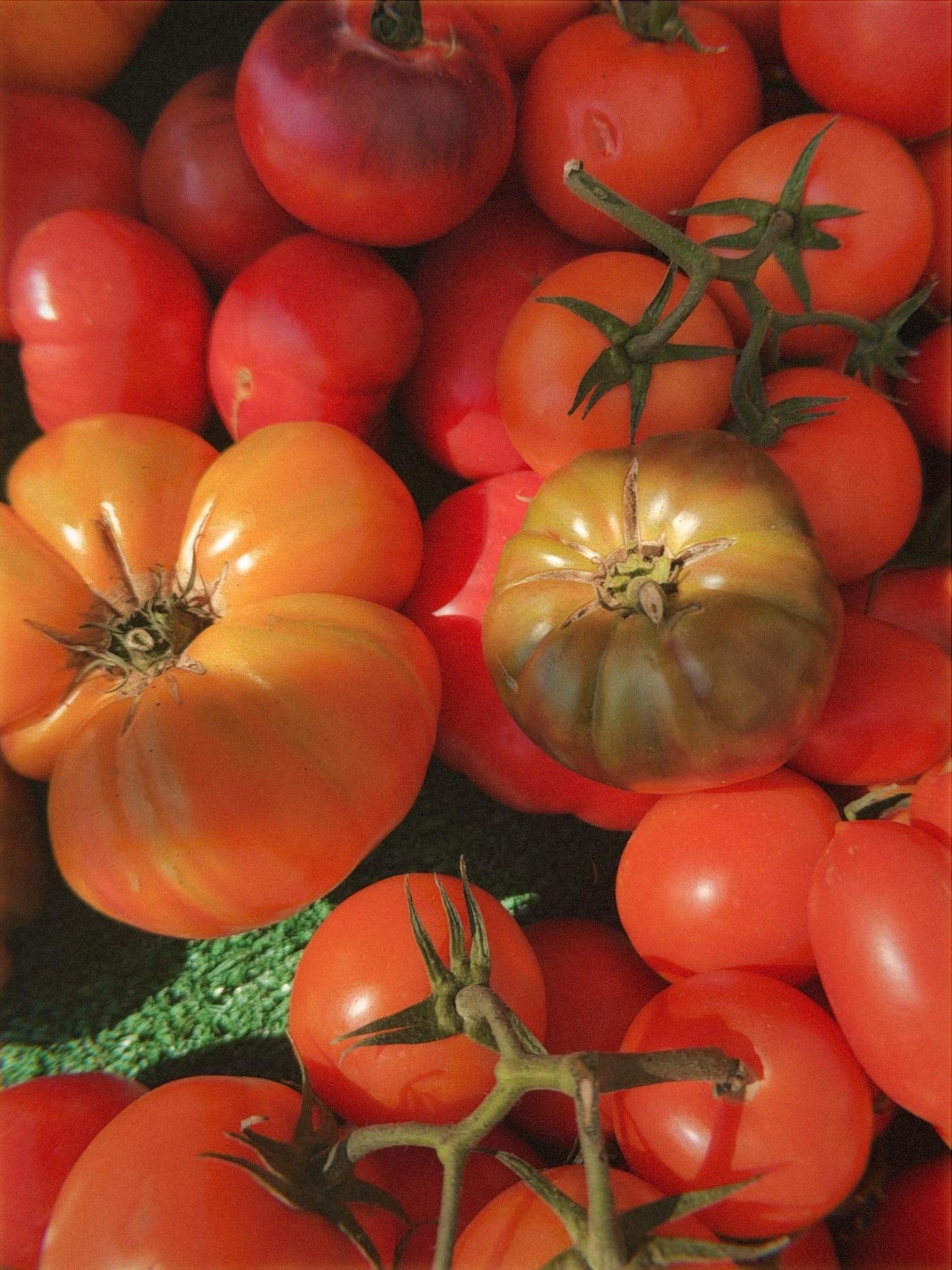 atwater village farmer's market