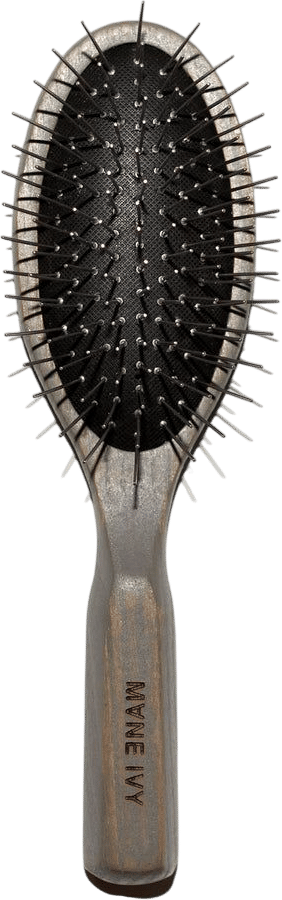 Mane Ivy Daily Wood Hair Brush