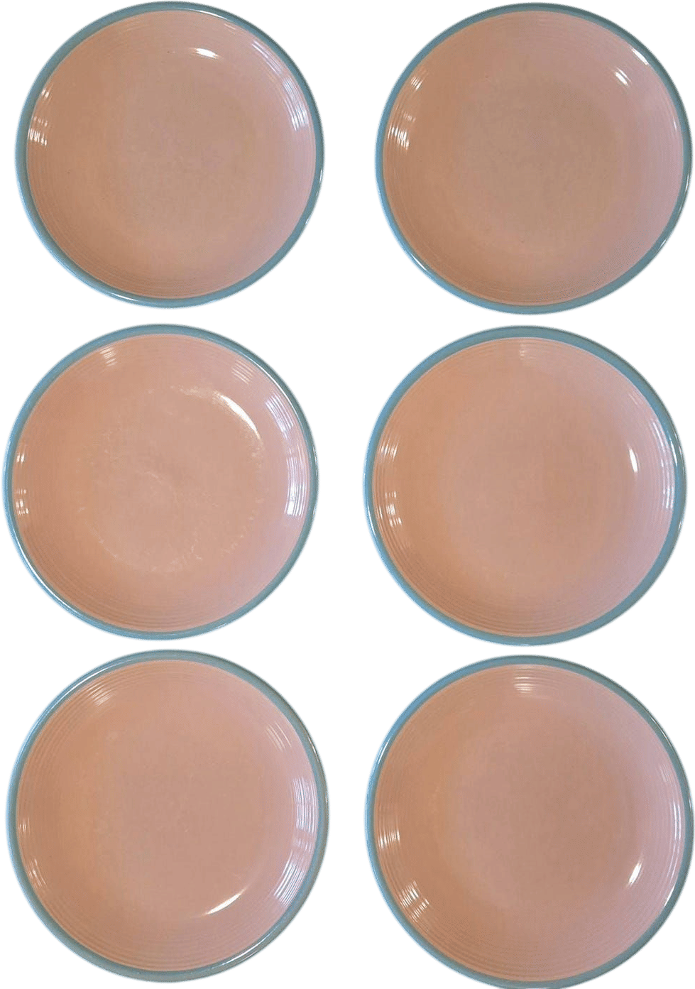 Rio Century Stoneware Pink & Blue Dinner Plates