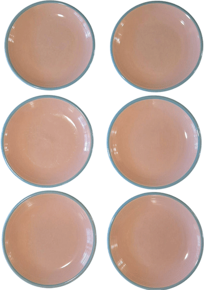 Rio Century Stoneware Pink & Blue Dinner Plates