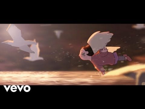 Birds fly by imagine dragons the music video.