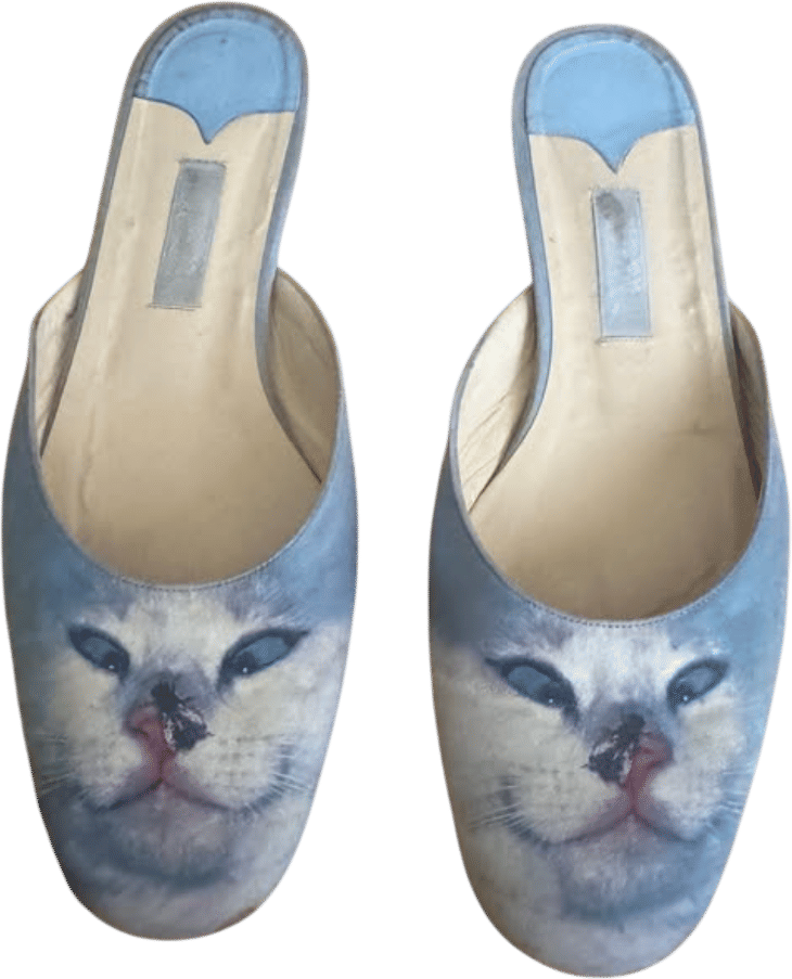 Buy em' NOW for $300 Vintage Rare Jimmy Choo x Anya Hindmarch Collab Cross-Eyed Cat & Fly Mules