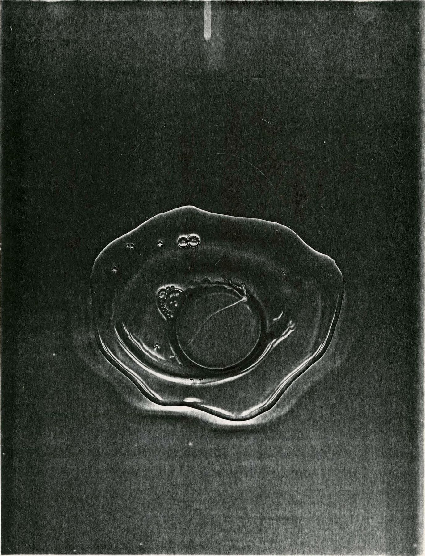 The Personal and Poetic Prints of a Female Pioneer of Copier Art