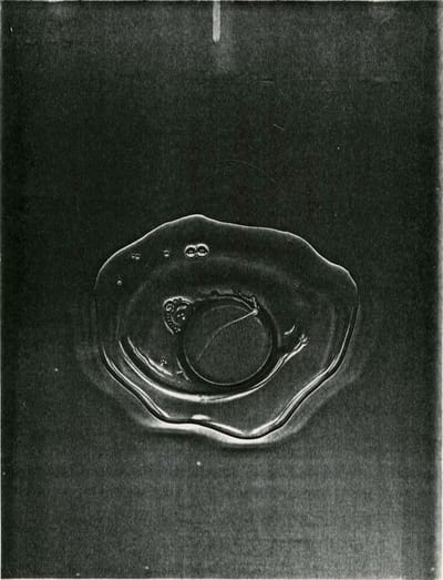 The Copier Art of Pati Hill