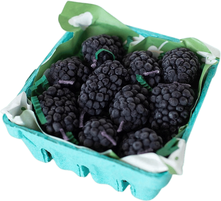 beeswax blackberry candles