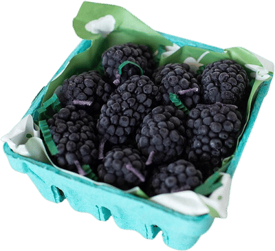 Blackberry 100% Beeswax Birthday Candles