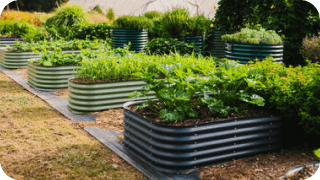 Raised Garden Bed