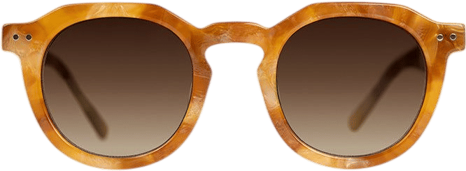 ECHO Sunglasses