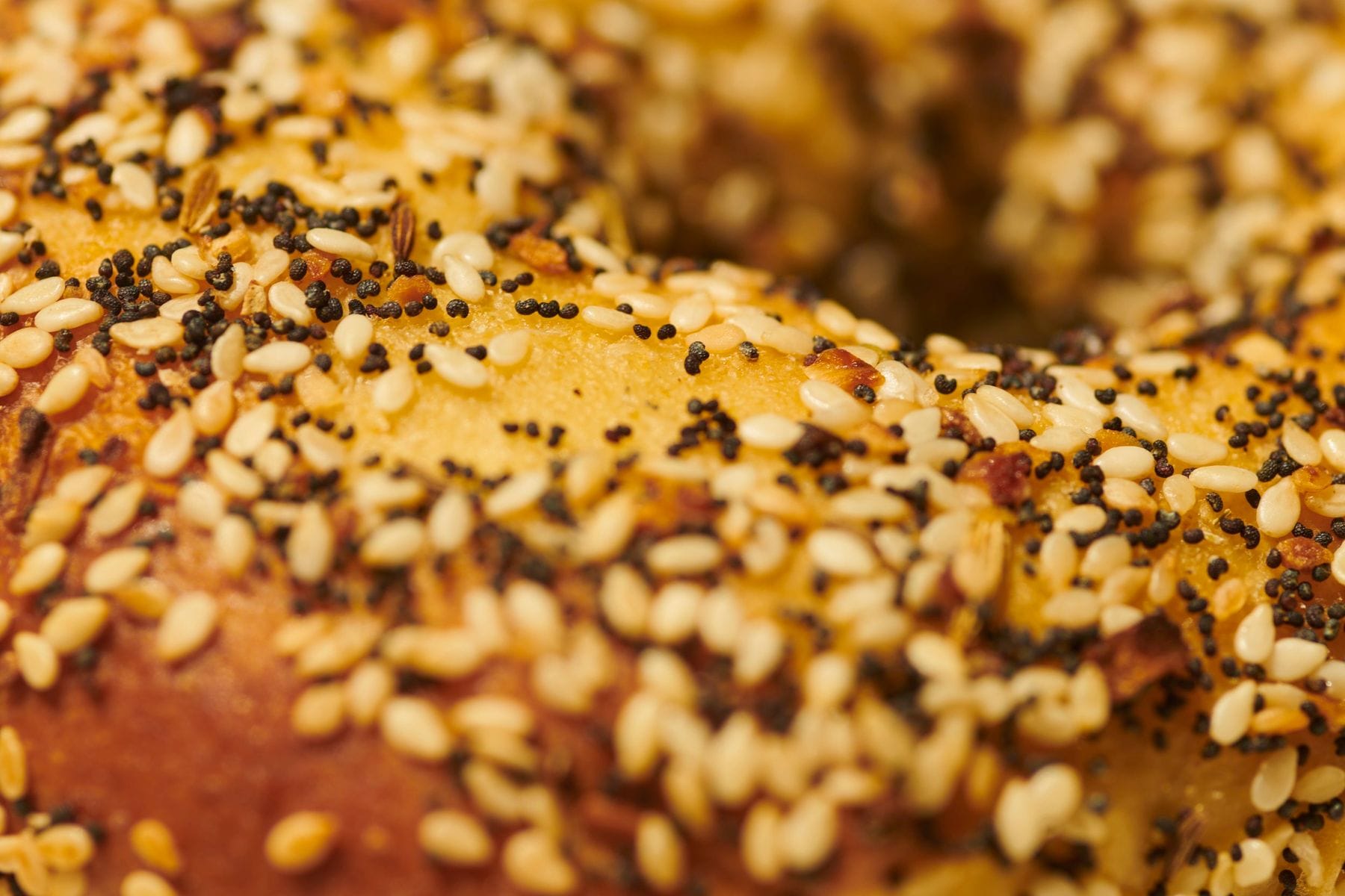Belle's Bagels Monday Night Deal
