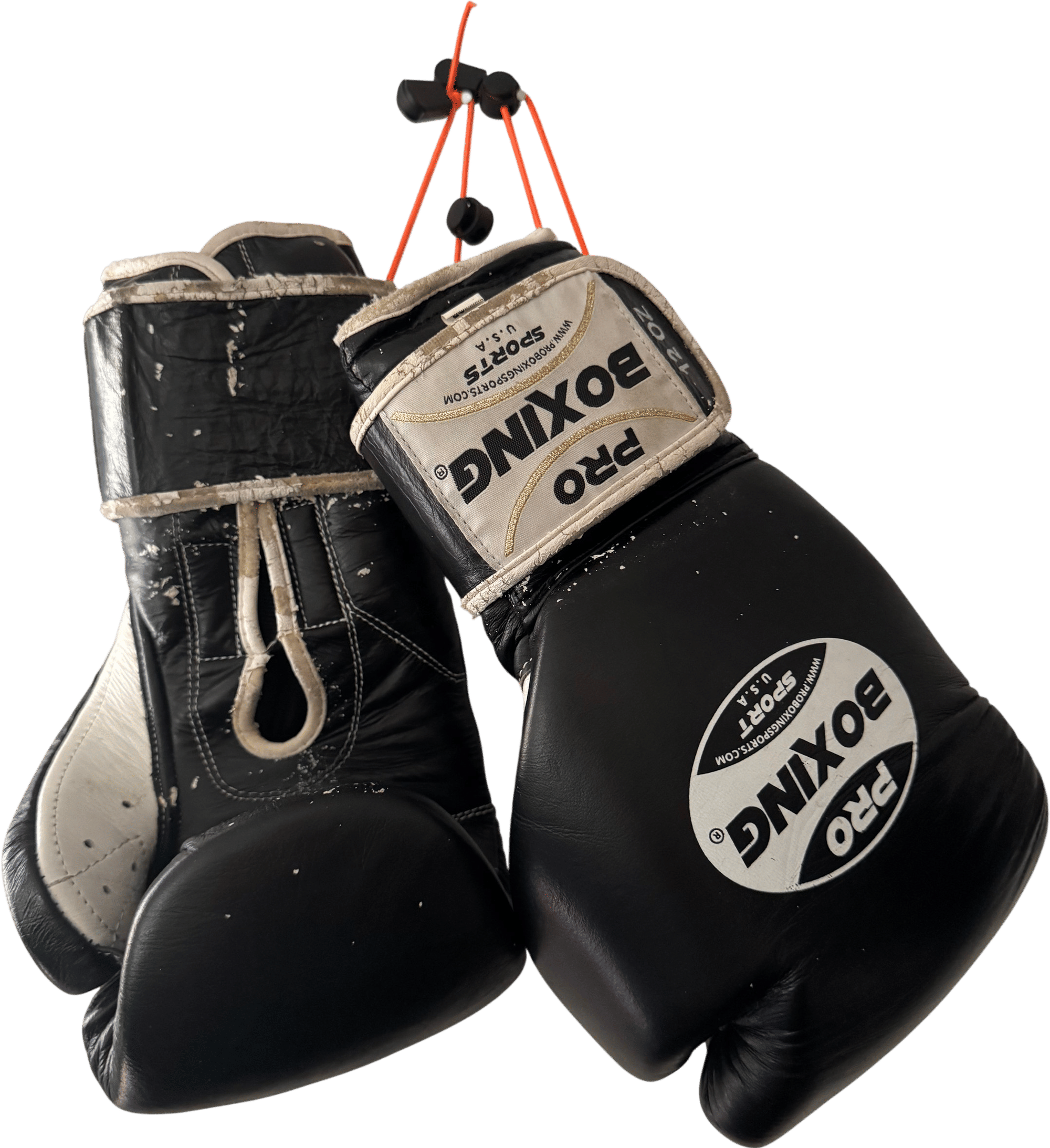 ProBoxing Series Boxing Gloves
