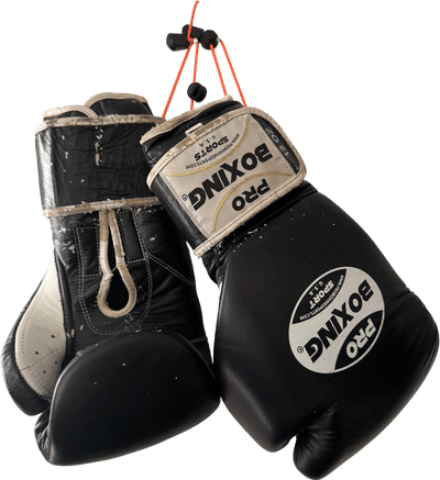 ProBoxing Series Boxing Gloves