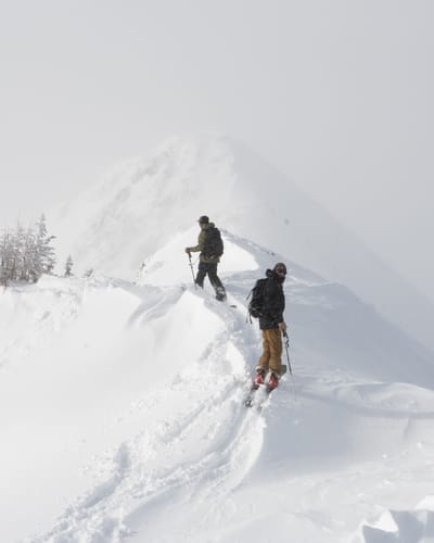 The Imperfectionist: Navigating by aliveness