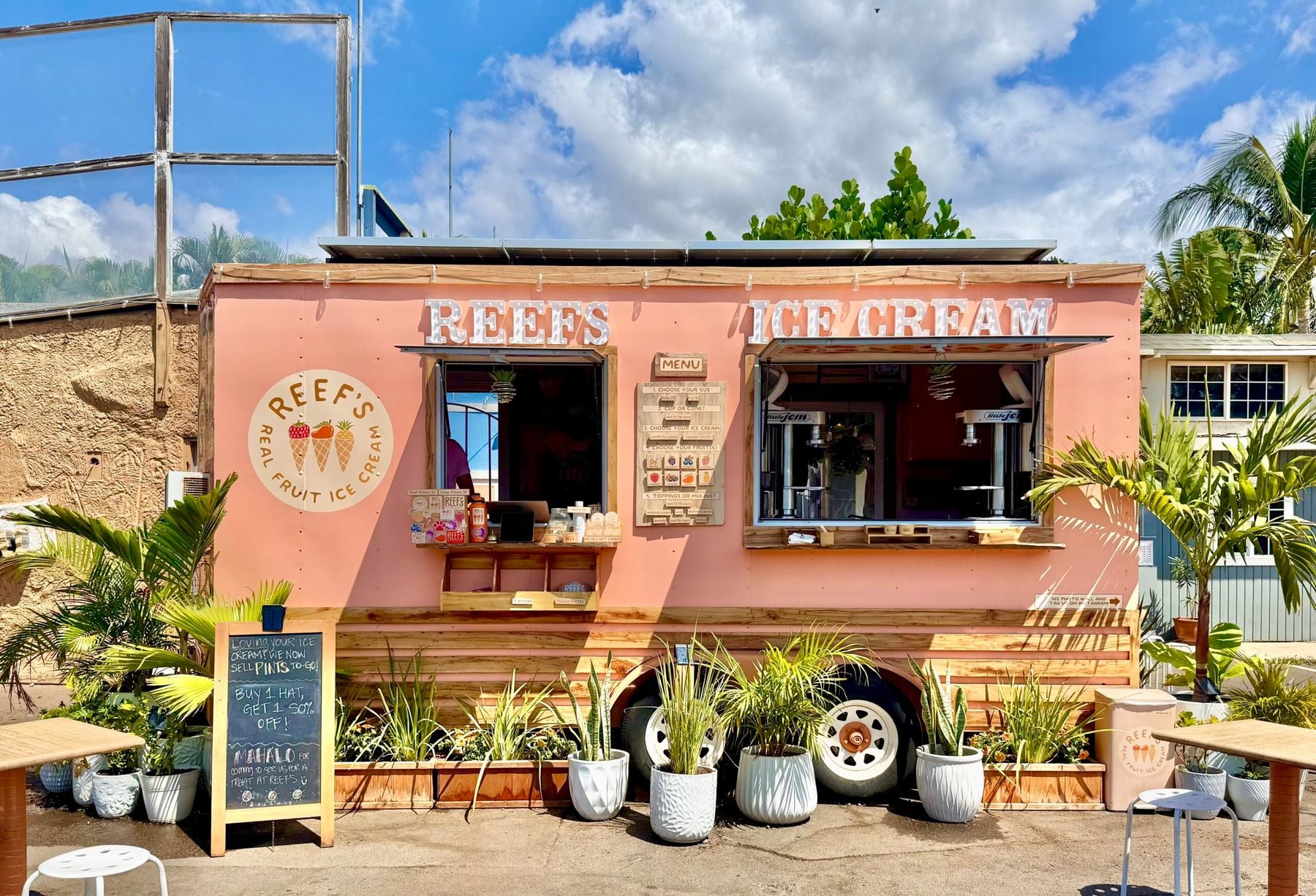 Reef's Real Fruit Ice Cream
