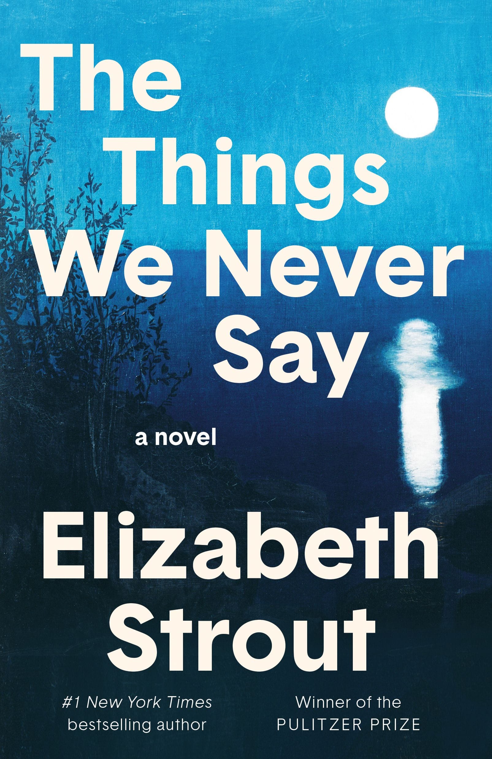 The Things We Never say