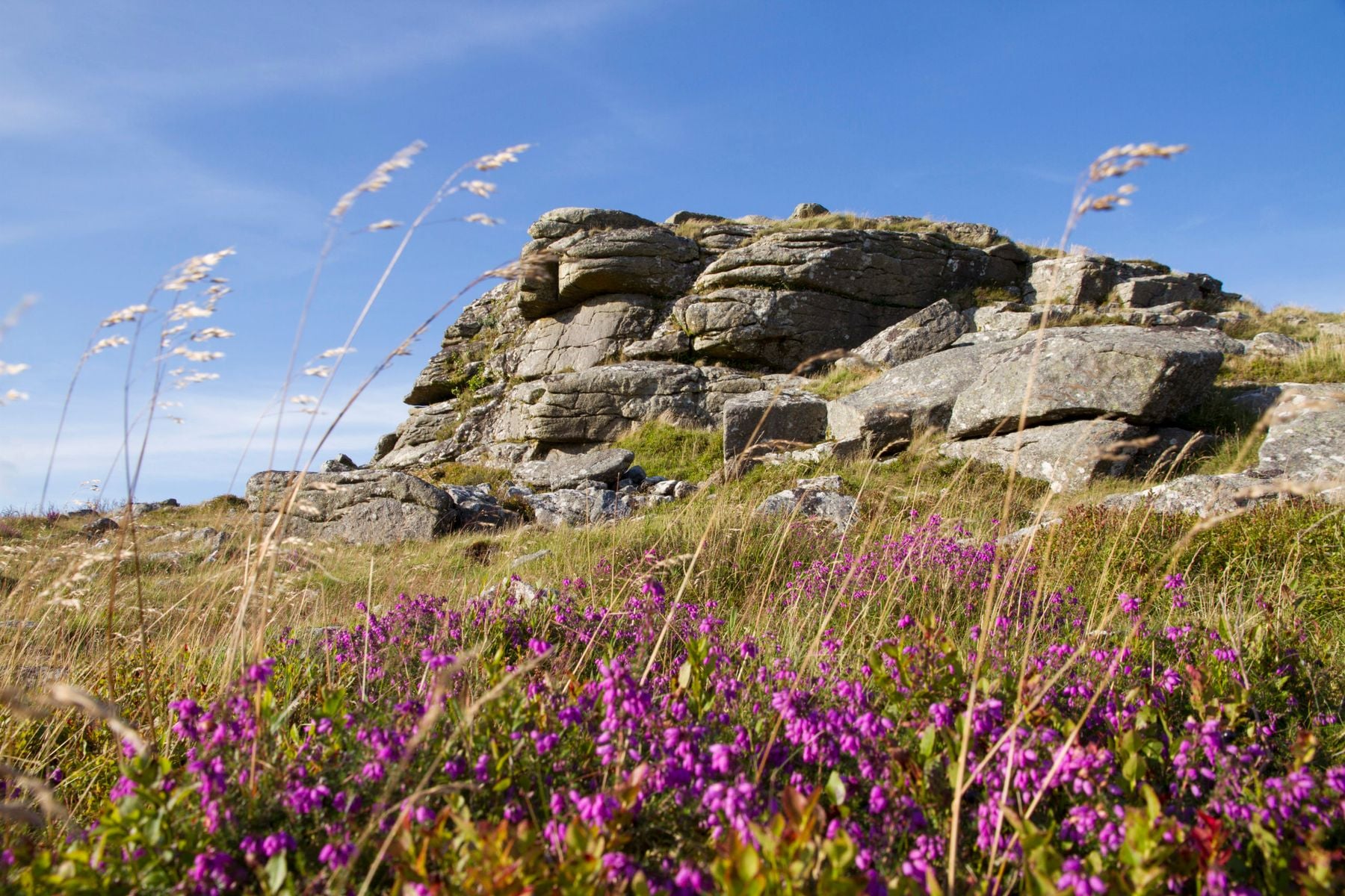 Dartmoor National Park