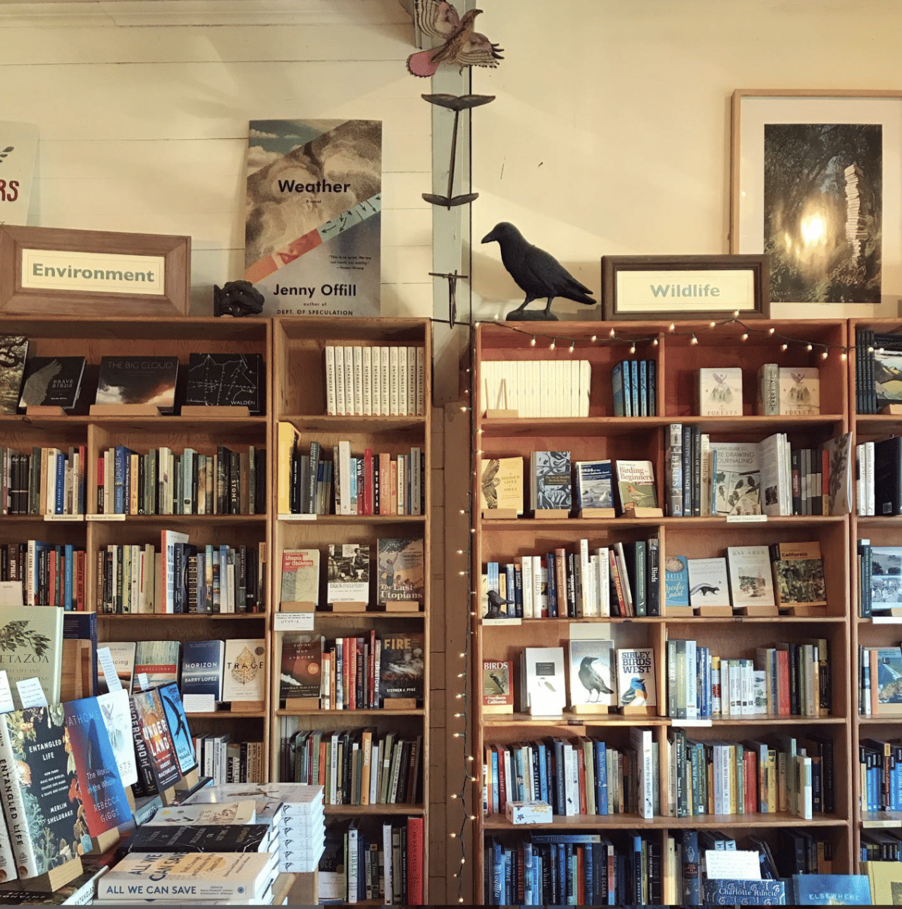 Point Reyes Bookstore