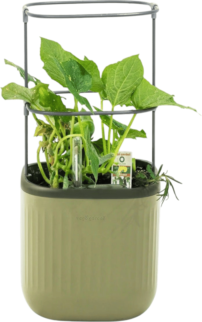 Reservoir-style self watering planters