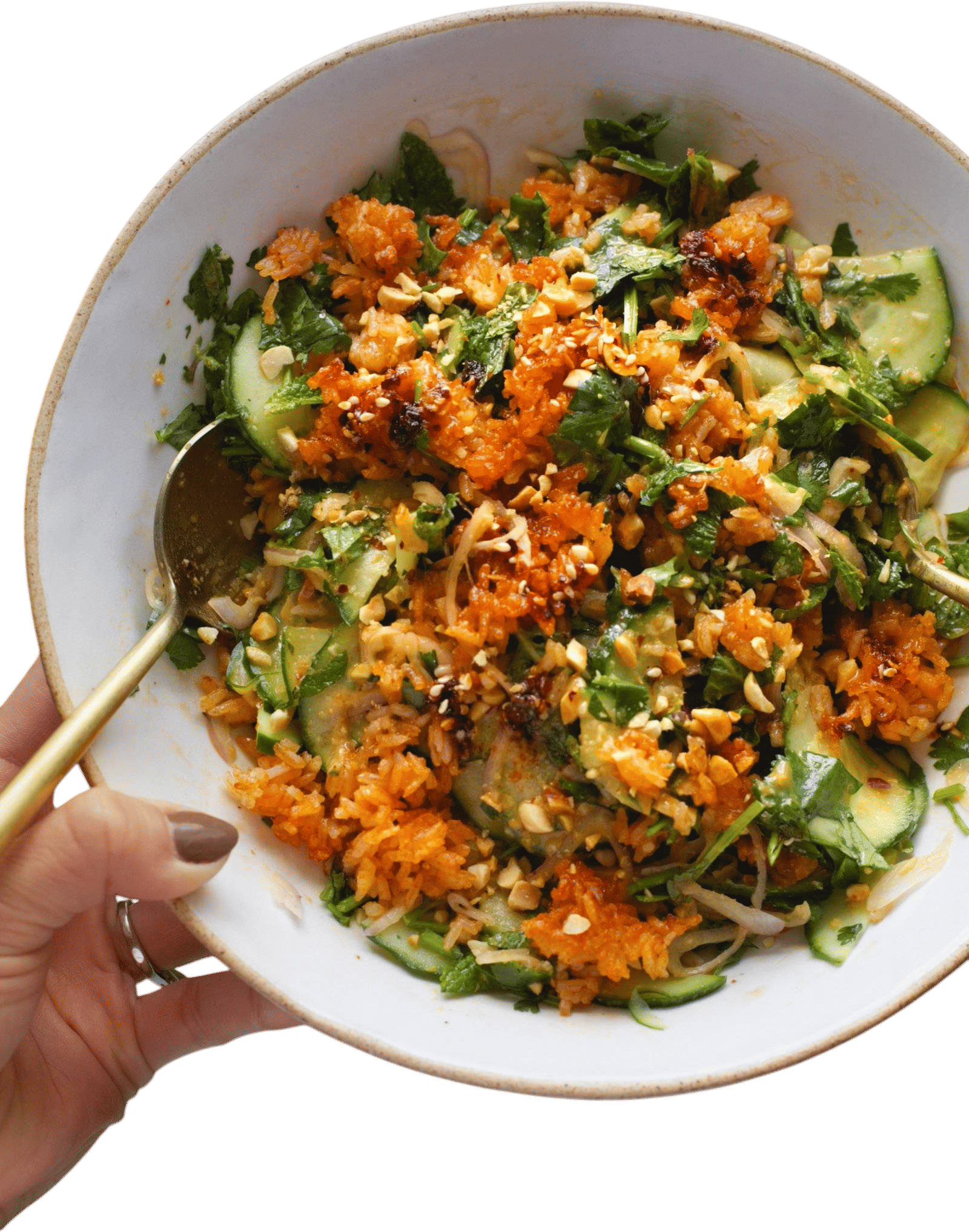 Crispy Rice Salad Recipe